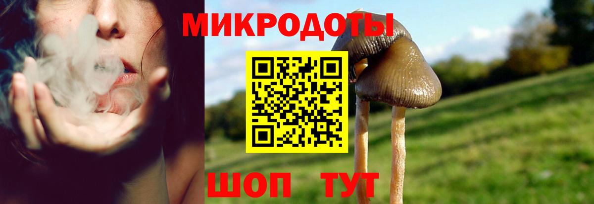 Галлюциногенные грибы мухоморы Копейск